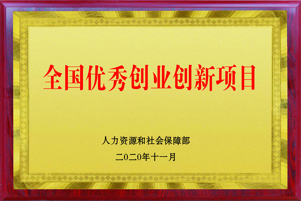 全国优秀创业创新项目